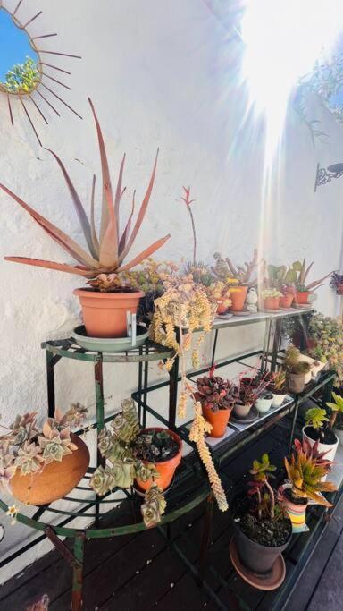Ferienwohnung Le Jardin Du Roucas Marseilles Exterior foto